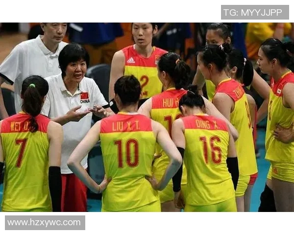 南京排球队实力深度解析与对比分析报告