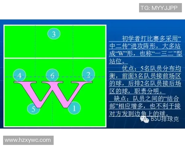 广州排球队进攻战术深度解析与实战应用探讨