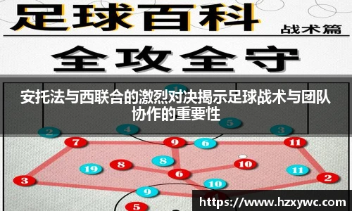 米兰体育官网